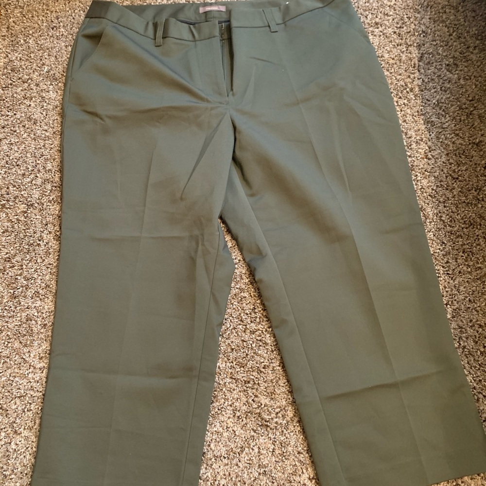 Maurice’s - Dress Capris - 16